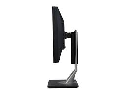 Dell Monitor  P2011 HT 19 inch VGA