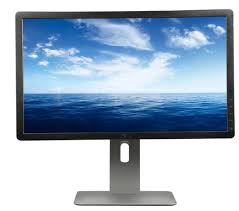 Dell Monitor P2012HT 20 inch VGA